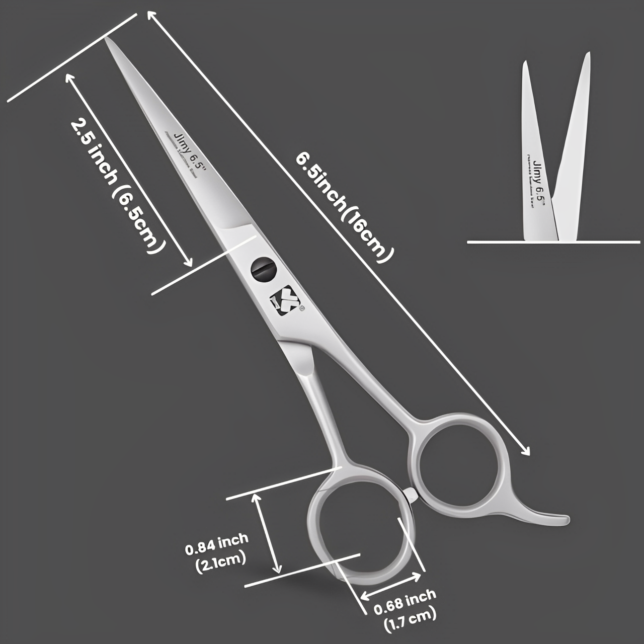 Silver Scissors